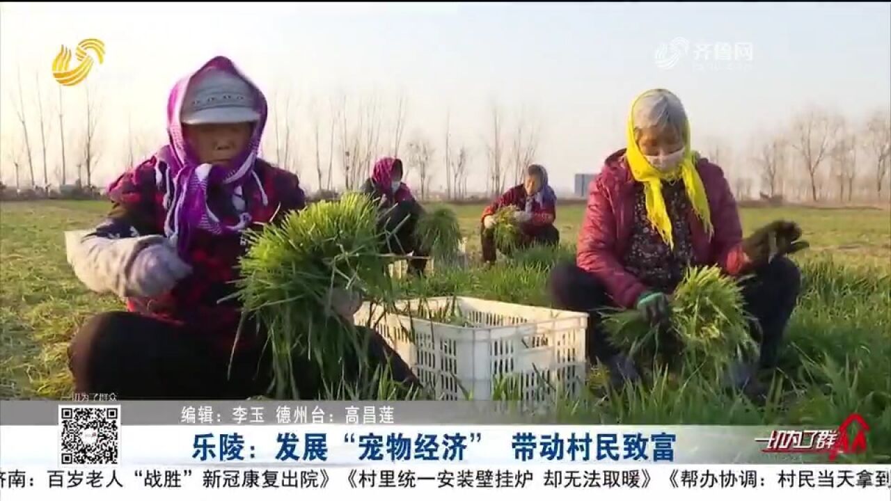 牧草变身宠物草料“身价”翻倍,搭乘电商快车,成为村民致富法宝