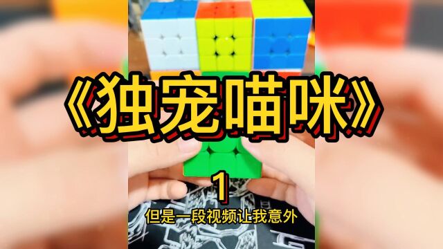 第1集:独宠喵咪