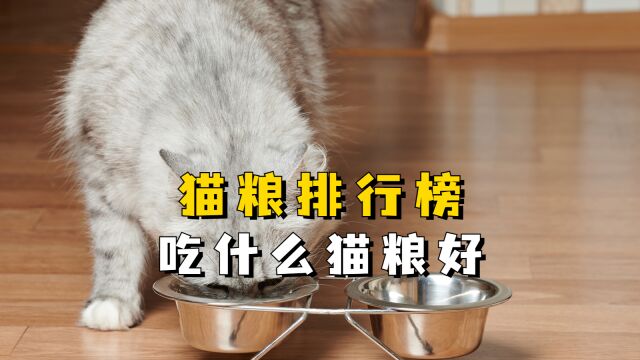 猫粮排行榜,吃什么猫粮好?