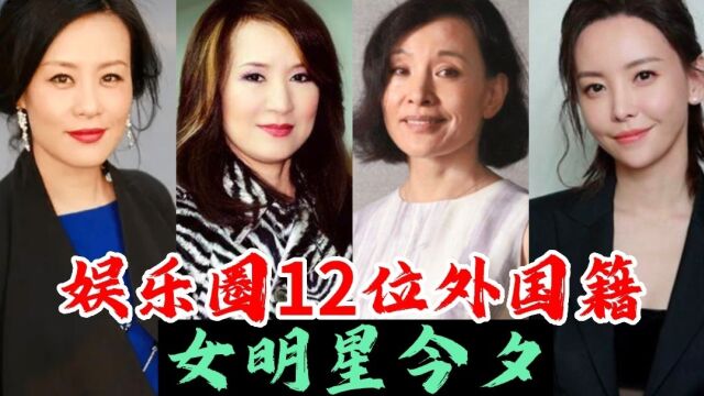 娱乐圈12位外国籍女明星今夕,国内赚钱国外花,看看都有谁?