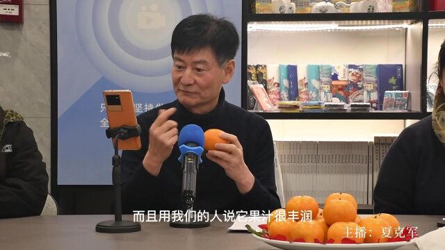 万言文化品味沃柑