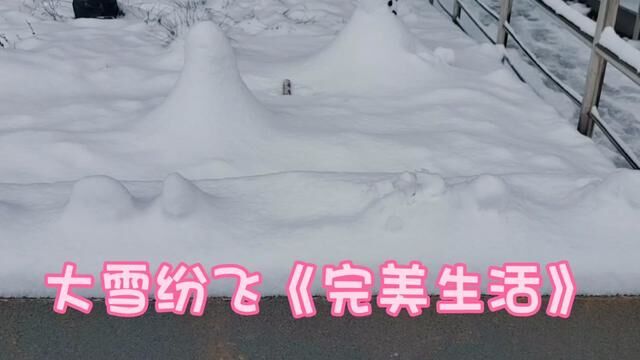 下大雪了!又回到童年时光,弹唱一首(完美生活)#户外录音设备