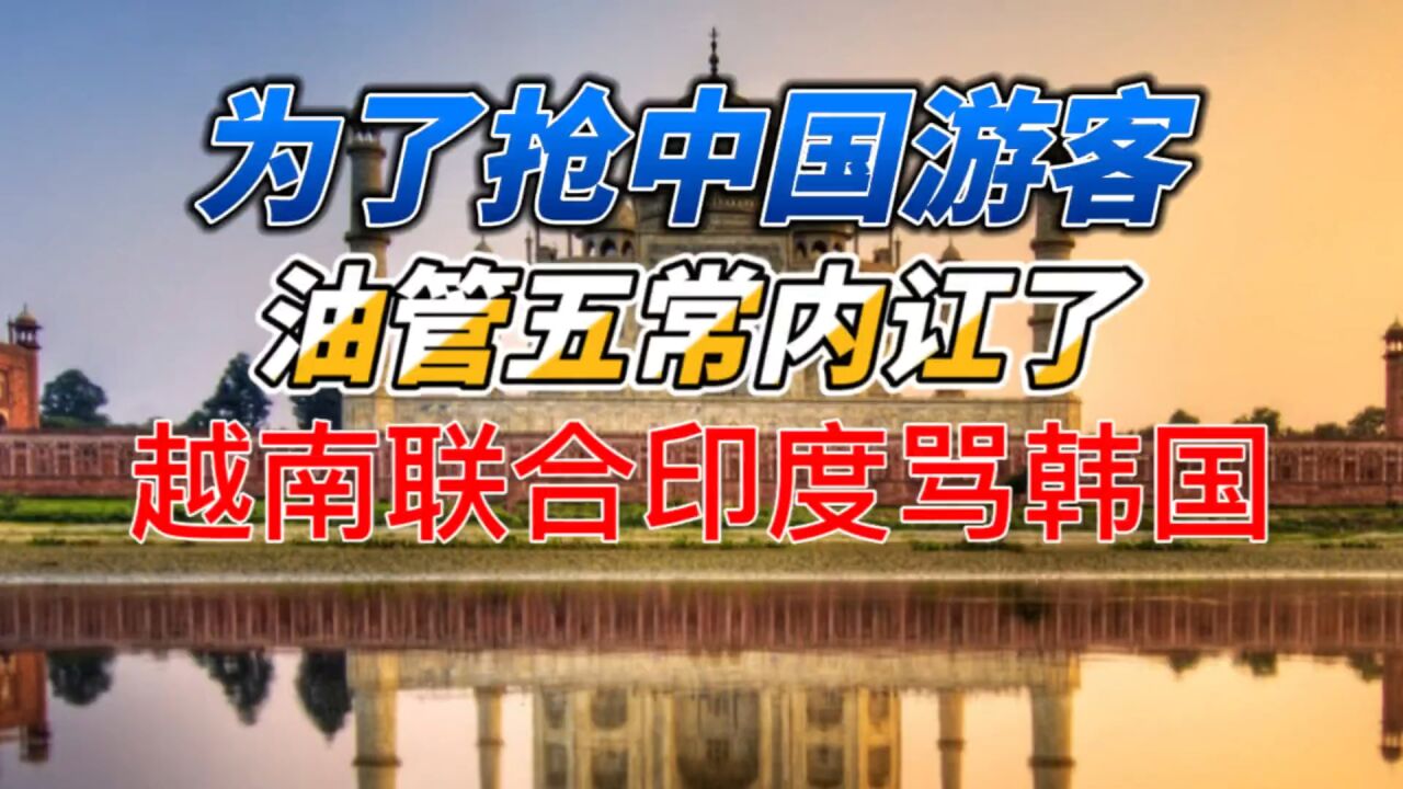 为了抢中国游客,油管五常内讧,印度和越南联合怼韩国网友