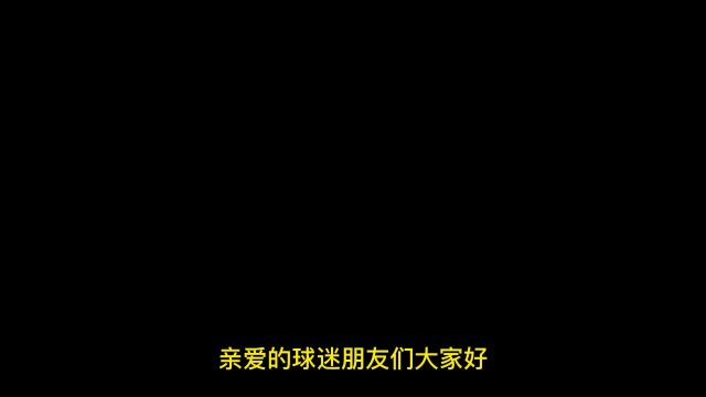 澳网公开赛免费男单决赛直播:德约科维奇vs西西帕斯(高清比赛中文)在线观看