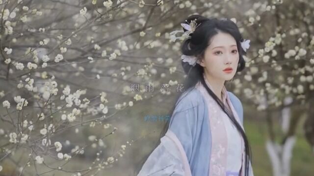 MV《烟雨落花》修篱种菊