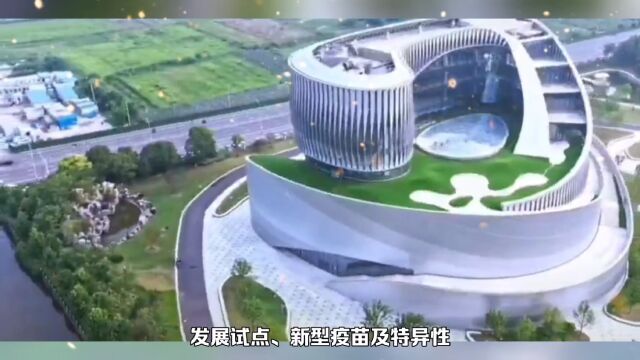 邓正红城市软实力:泰州打造区域竞争优势 建设医药健康产业高地