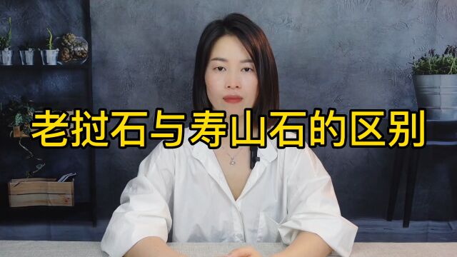 老挝石与寿山石的区别?008寿山石讲解