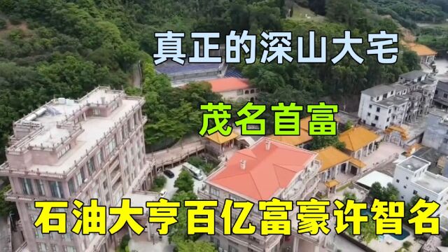 实拍茂名高州神秘富豪豪宅,挖空一座山建7栋别墅,百亩庄园停机坪