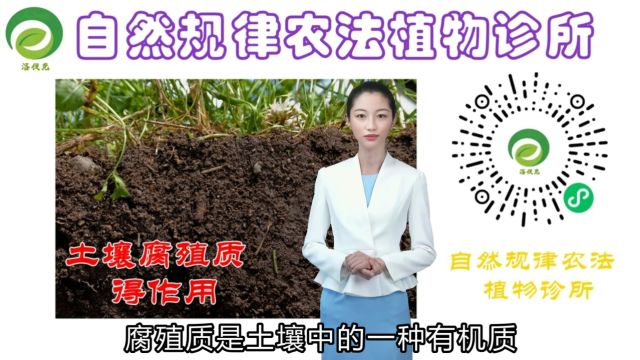 农学早知道:土壤腐殖质得作用