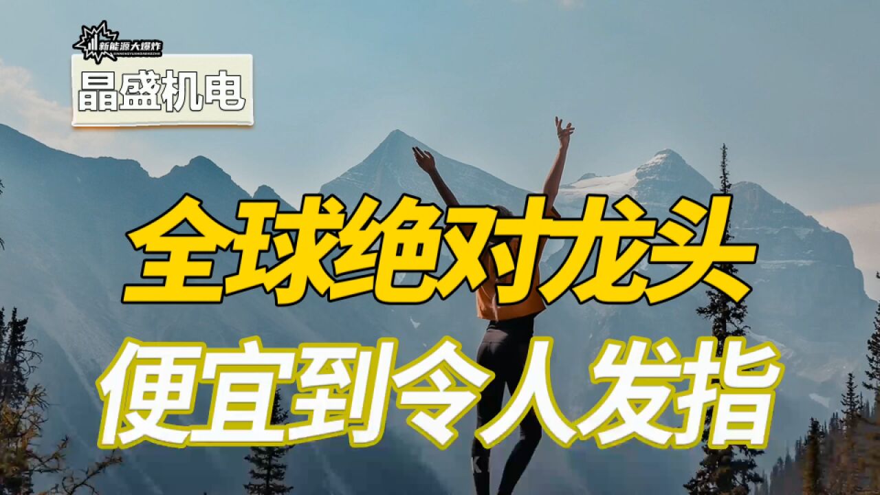 便宜到令人发指,全球绝对龙头,市占率超90%,但市盈率仅15倍!