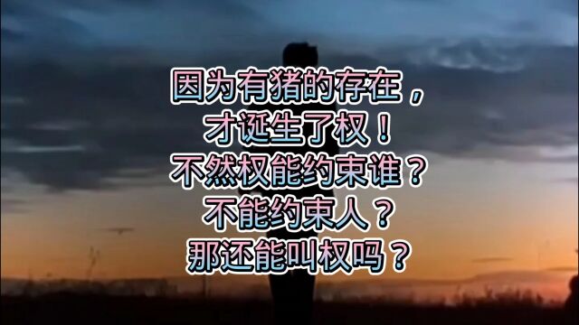 什么是权?权是怎么诞生的?