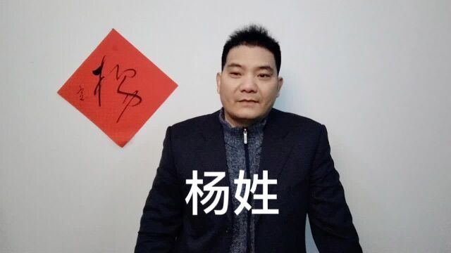 鲍飞讲百家姓之“杨”姓的祖先,书法杨刻紫砂壶上与茶泡茶文化