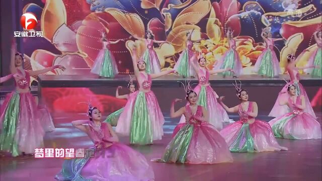 斯兰演唱《望春花》,经典歌曲永流传,好听到不想换台|晚会