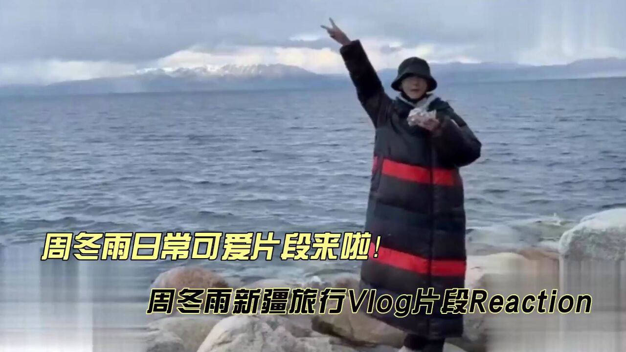 周冬雨新疆旅行Vlog片段reaction