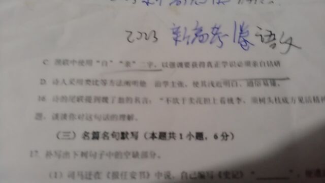 2023新高考一卷语文诗歌