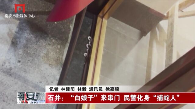 石井:“白娘子”来串门 民警化身“捕蛇人”