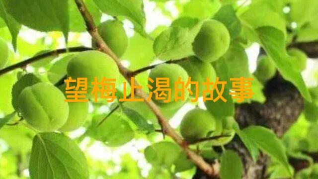 “望梅止渴”成语发源地及三国古驿道的传说