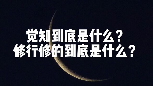 【Lunate's Talk】觉知到底是什么意思修行到底要修什么为什么产生觉知对修行如此重要Lunate夜隐露娜特