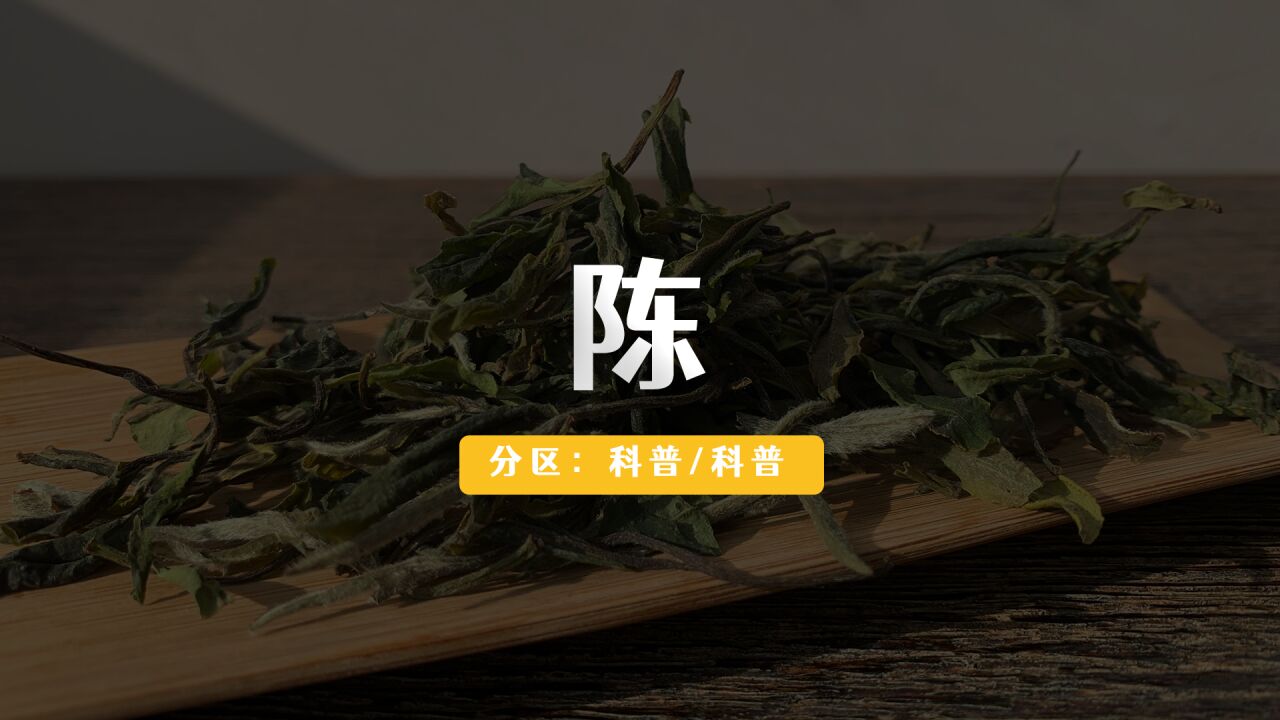 16. 【陈】,一泡茶的古老韵味.——茶的「二十四味」