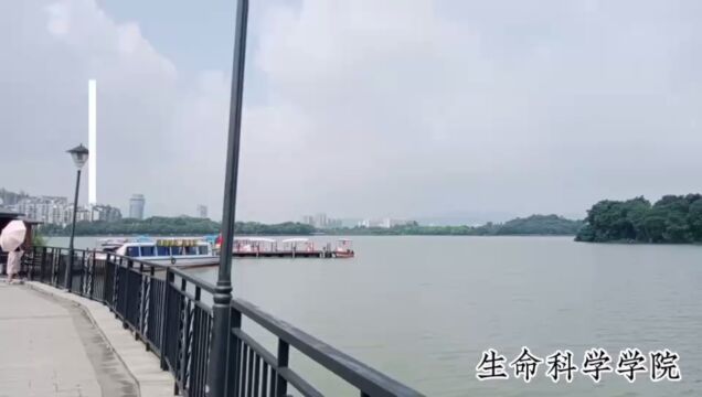 园林手绘大赛