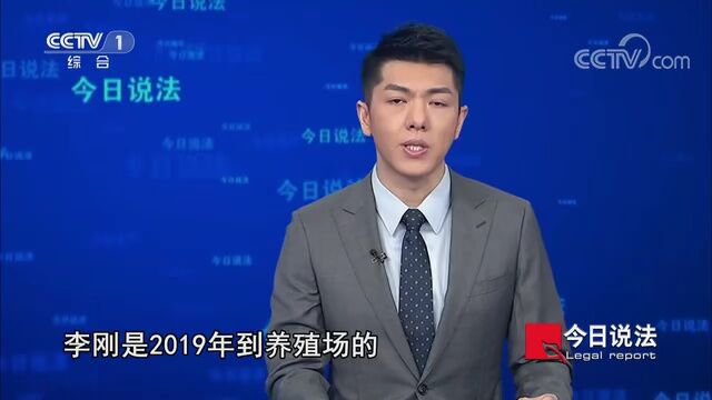 媒体聚焦 | 中央电视台CCTV1《今日说法》:隐秘的山林(下)