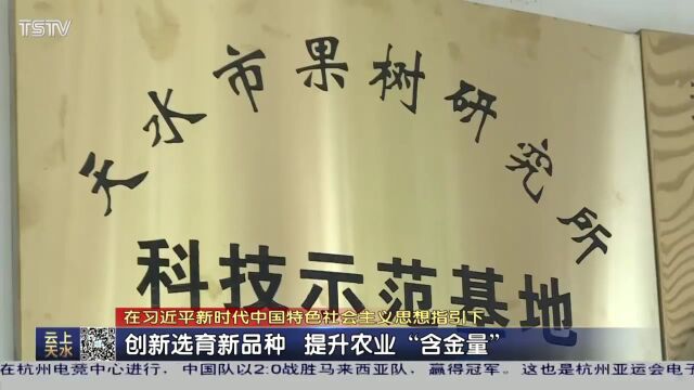 天水:创新选育新品种 提升农业“含金量”