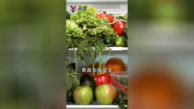 实验室可用的蔬菜农药残留检测仪器多少钱一台?