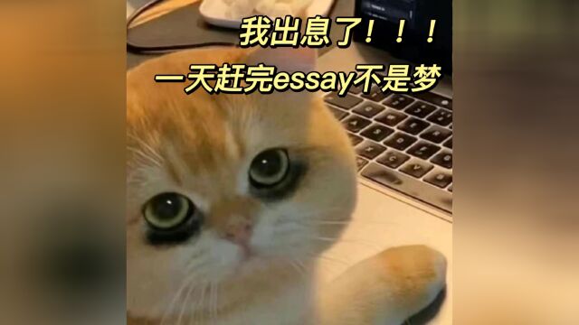 实测好用写essay私藏秘籍 赶完essay了!心情超级好!所以想给大家分享一下我写的essay的私藏秘籍!