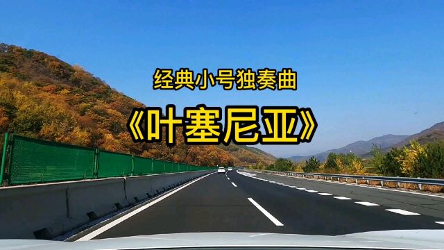 经典小号独奏曲《叶塞尼亚》,天籁之音,净化心灵