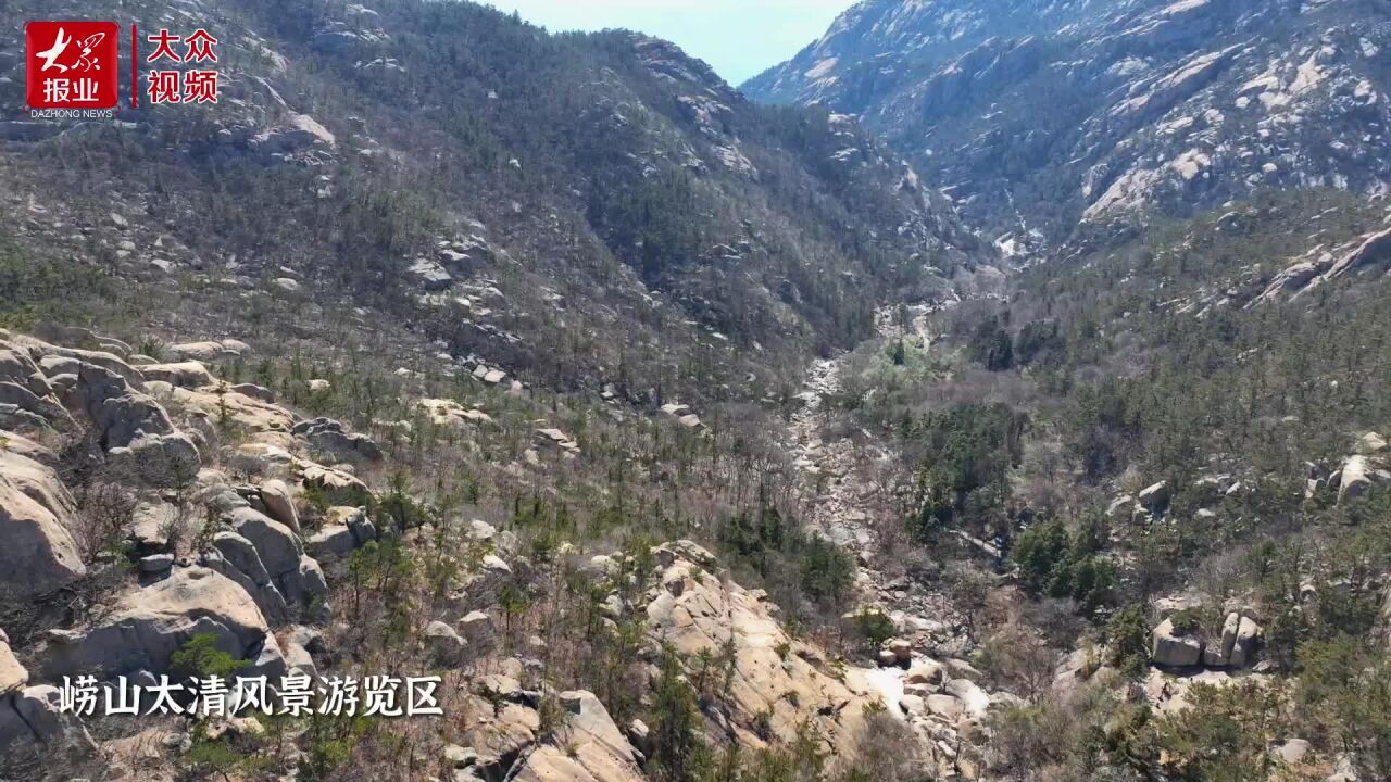 视频|山海一色共享春日,青岛崂山向你发出踏春邀请