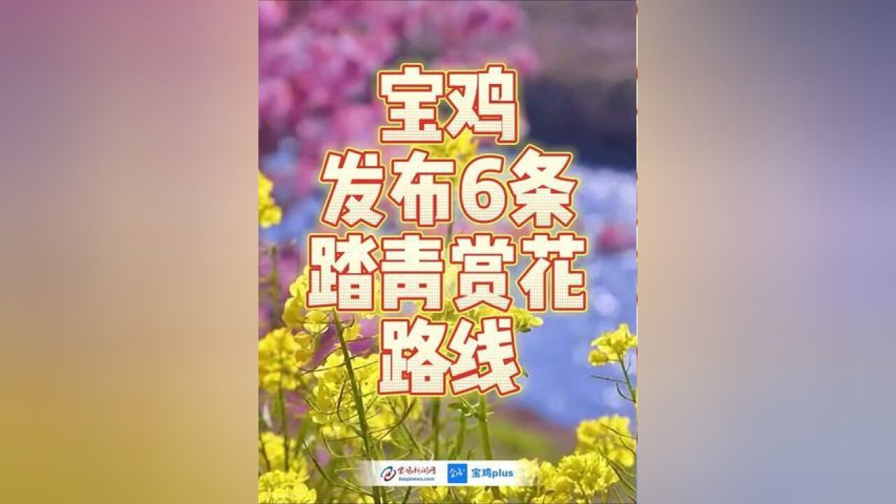 陕西省宝鸡市,宝鸡发布6条踏青赏花路线