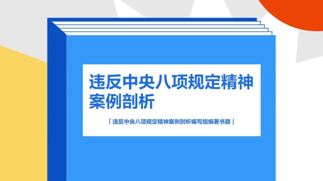 带你了解《违反中央八项规定精神案例剖析》