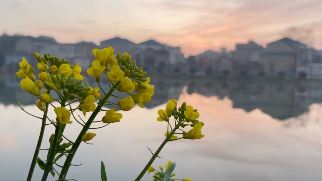 江南水乡春来早,江苏高淳看美景