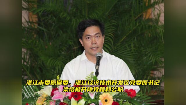 并非法收受巨额财物 湛江经济技术开发区党委原书记梁培被双开