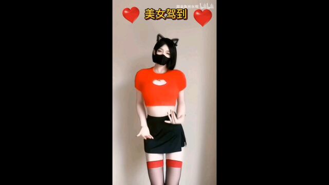 美女驾到,美女云集