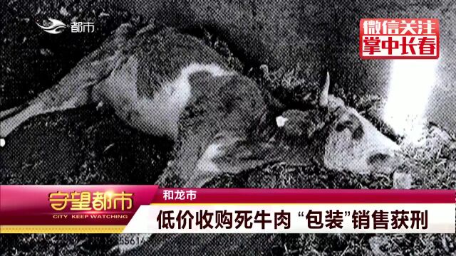 吉林3人落网!低价收死牛,“包装”后销售…