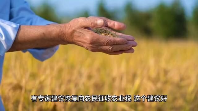 建议给农民实行工资制,生产粮食全上缴,有五险一金