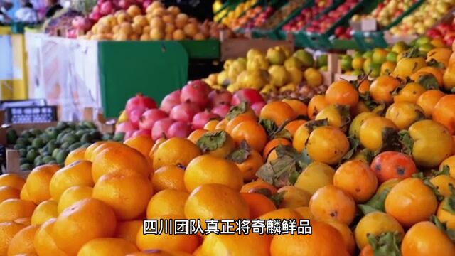 重磅!奇麟鲜品四川运营中心正式授牌运营