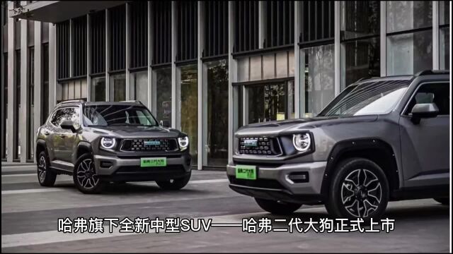 哈弗全新SUV哈弗二代大狗