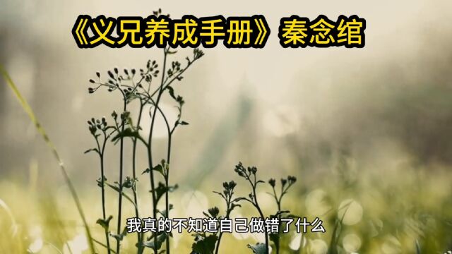 热门小说《义兄养成手册》秦念绾小说全文,全集(完整)