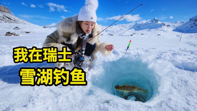 在瑞士雪湖钓鱼,100欧元一条的鱼长什么样?直接油炸