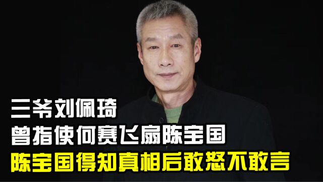 三爷刘佩琦:曾指使何赛飞扇陈宝国,陈宝国得知真相后敢怒不敢言!