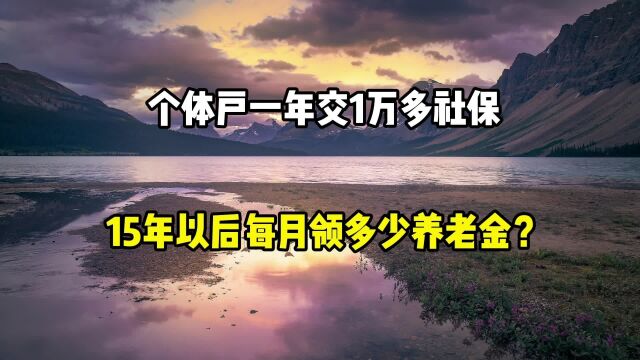 个体户一年交1万多社保,15年以后,每月领多少养老金?