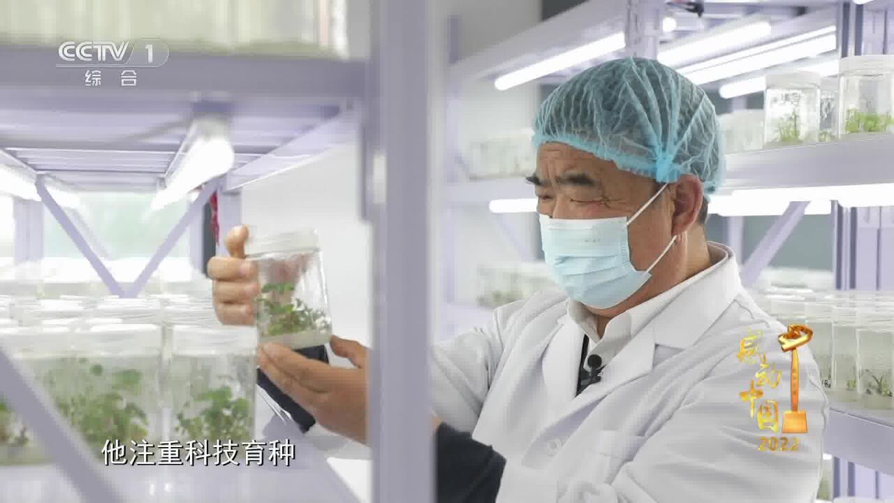 感动中国2022年度人物丨安徽麦王徐淙祥:欣欣田间麦