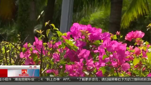 未来3天琼岛最高温32℃ 较强冷空气将周日上线