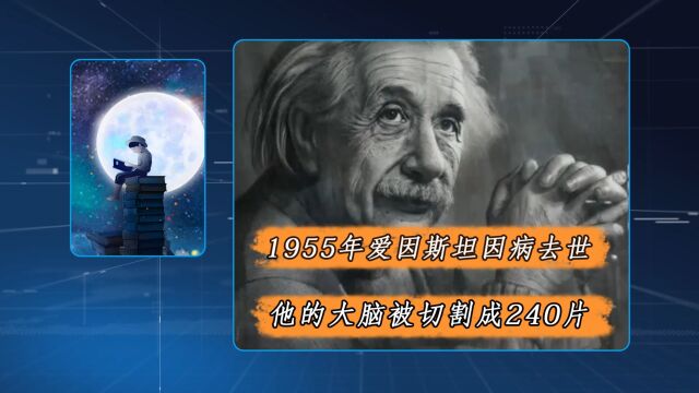 1955年爱因斯坦因病去世,他的大脑被医学解剖,寻找天才秘密