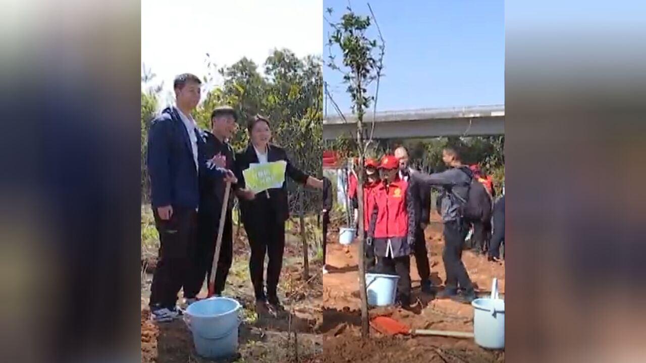 长沙市首例“补植复绿”执行案件今日履行,上百人见证执行过程