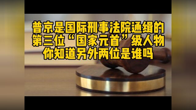 普京是国际刑事法院通缉的第三位国家元首及人物,你知道另外两位是谁