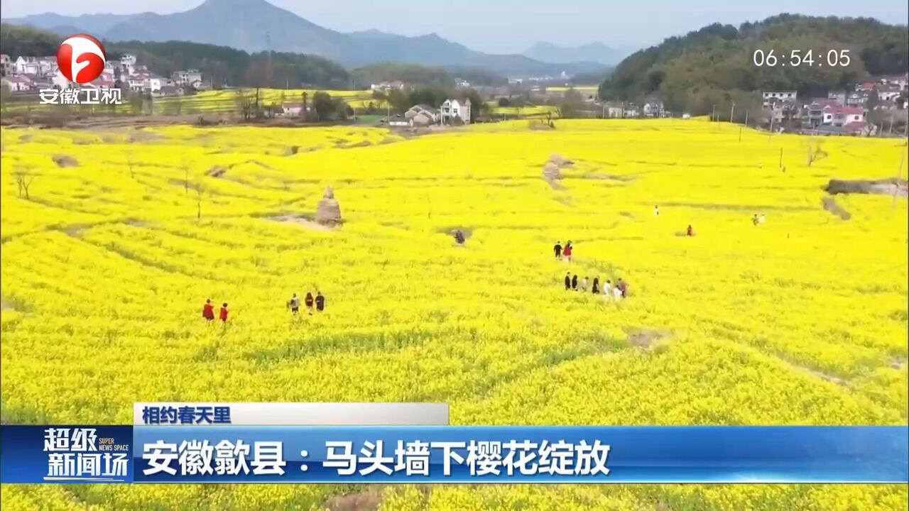 安徽旌德:梯田油菜花盛开,宛如田园诗画