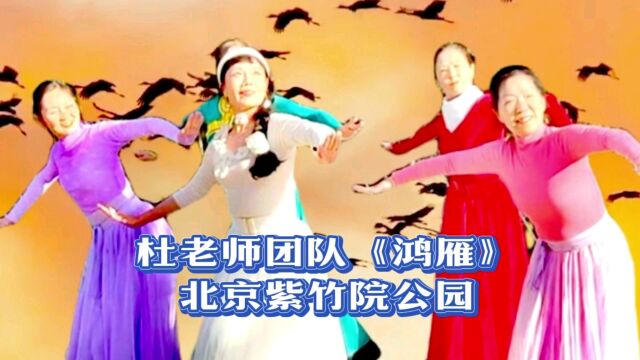 相约紫竹杜老师团队《鸿雁》回来,在花开的地方翩翩起舞